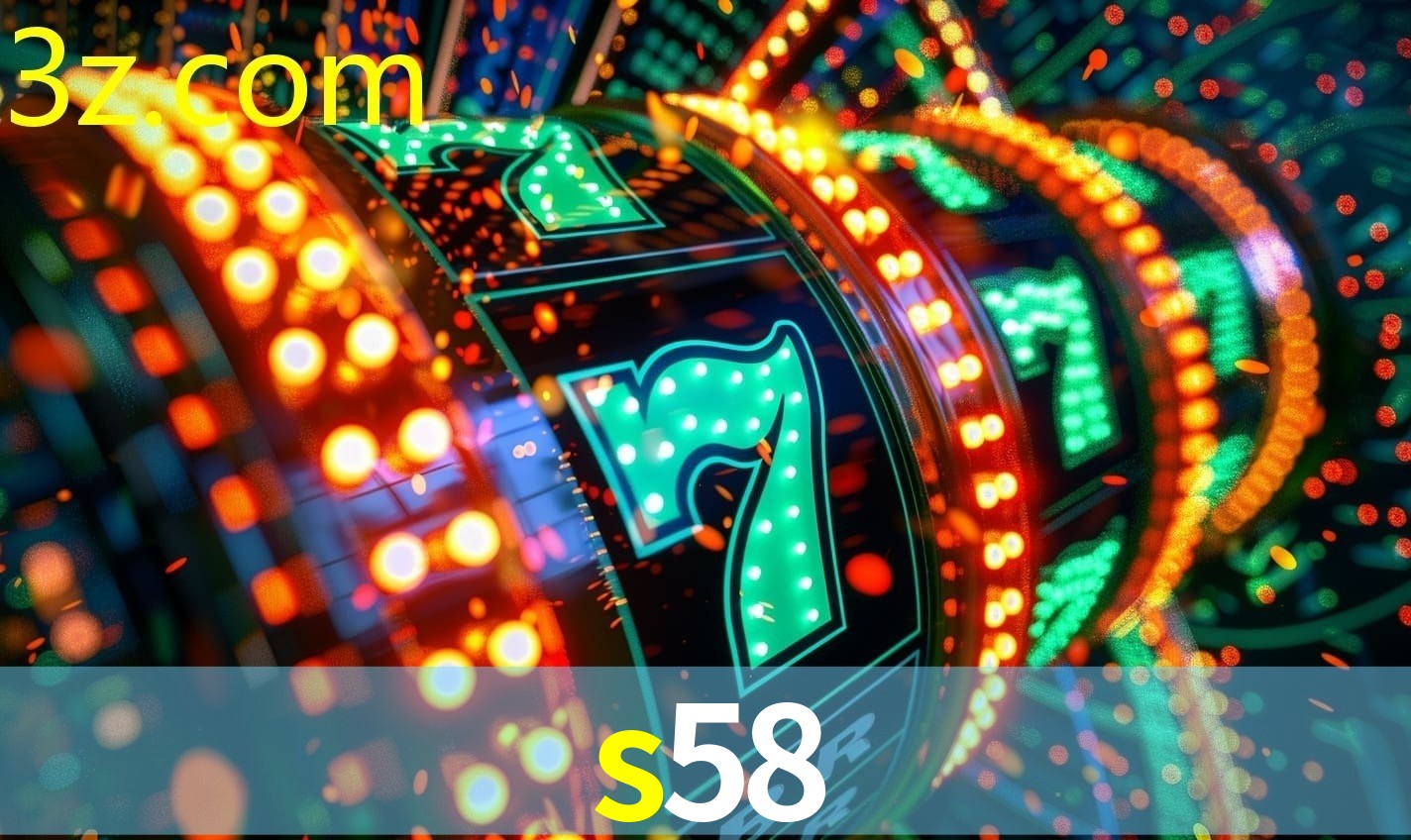 Security Systems S58